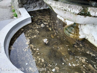 Fontane storiche senz’acqua e fontanili che perdono