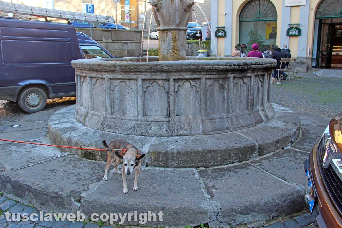 Piazza Dante