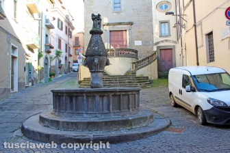 Crocetta