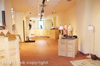 Forme e colori della Tuscia