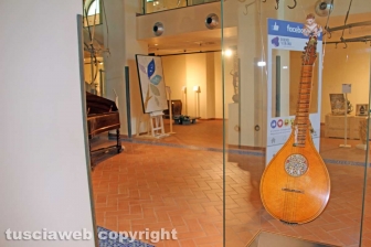 Forme e colori nella terra di Tuscia