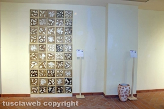 Forme e colori nella terra di Tuscia