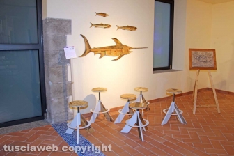 Forme e colori nella terra di Tuscia