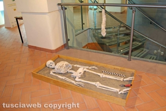 Forme e colori nella terra di Tuscia