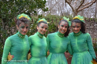 Ronciglione - Gruppo Magica natura inside