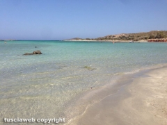 Spiaggia rosa di Elafonissi - Creta - Nicolò Alesini