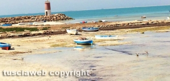 Isola di Djerba - Tunisia - Barbara Todini
