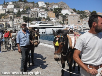 Isola di Hydra - Massimo Ercoli