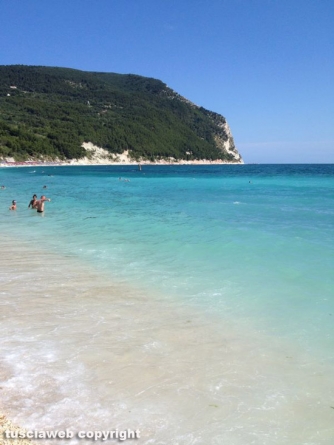 Riviera del Conero - Leone Cozzolino