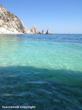 Riviera del Conero - Leone Cozzolino
