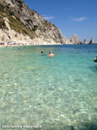 Riviera del Conero - Leone Cozzolino