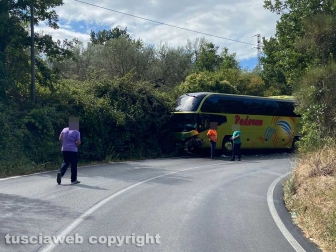 Viterbo - Autobus contro macchina sulla Sammartinese