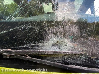 Viterbo - Autobus contro macchina sulla Sammartinese