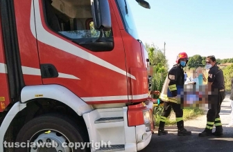 Marta - Frontale sulla Verentana