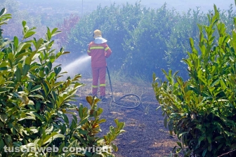 Fuoco lungo la trasversale
