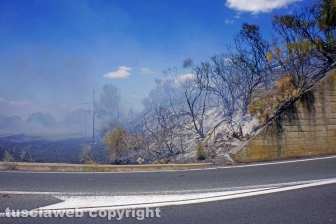 Fuoco lungo la trasversale
