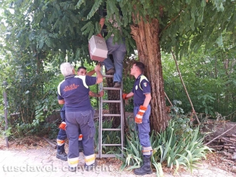 Montefiascone - Il salvataggio della gatta in via Verentana