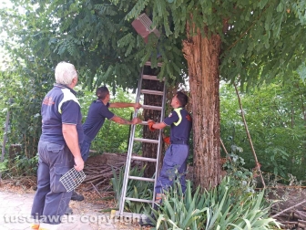 Montefiascone - Il salvataggio della gatta in via Verentana