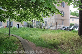 Giardino viale Capocci nel degrado - Incontro con Michelini