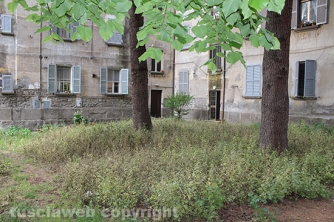 Giardino viale Capocci nel degrado - Incontro con Michelini