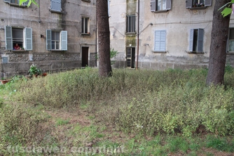 Giardino viale Capocci nel degrado - Incontro con Michelini