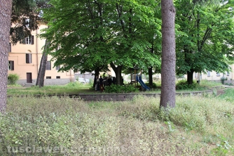 Giardino viale Capocci nel degrado - Incontro con Michelini