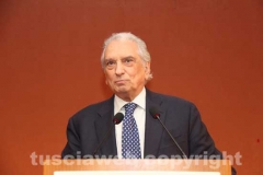 Gigli in campo