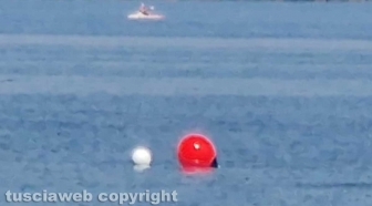 Capodimonte - Giovane morto nel lago - Il punto del ritrovamento