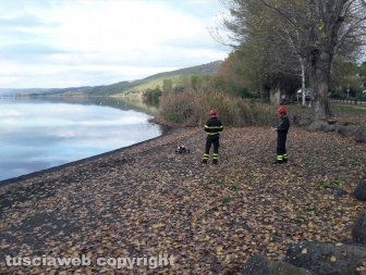 Montefiascone - Giovane scomparso, secondo giorno di ricerche