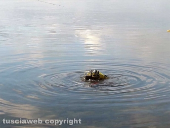 Montefiascone - Giovane scomparso, secondo giorno di ricerche