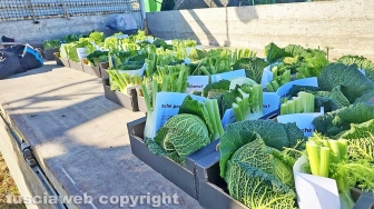 Gli agricoltori in protesta regalano verdura fresca agli automobilisti