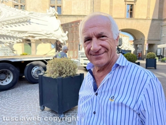 Macchina di Santa Rosa - Gloria arriva a San Sisto - Vincenzo Fiorillo