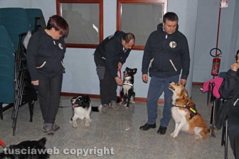 Gruppo cinofilo protezione civile Viterbo Tuscia