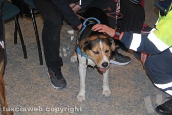 Gruppo cinofilo protezione civile Viterbo Tuscia
