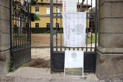 Guerrilla gardening a porta della Verità