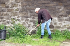 Guerrilla gardening a porta della Verità