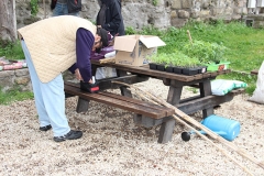 Guerrilla gardening a porta della Verità