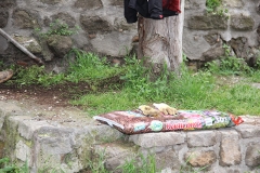 Guerrilla gardening a porta della Verità