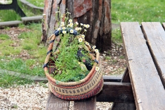 Guerrilla gardening a porta della Verità