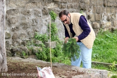 Guerrilla gardening a porta della Verità