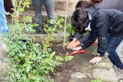 Guerrilla gardening a porta della Verità