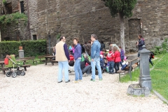Guerrilla gardening a porta della Verità