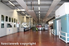 Viterbo - I 40 anni di Union Printing