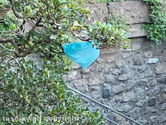 I bagni pubblici di piazza della Rocca