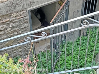 I bagni pubblici di piazza della Rocca