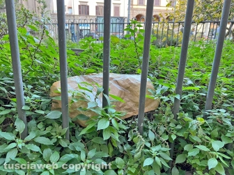 I bagni pubblici di piazza della Rocca