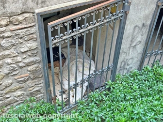 WhatsApp-Image-2023-06-08-at-17.41.15-(2)