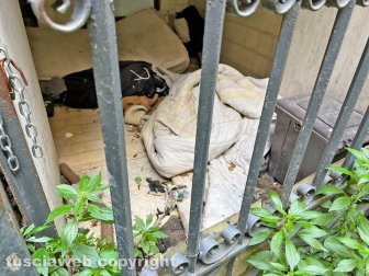 WhatsApp-Image-2023-06-08-at-17.41.16-(1)