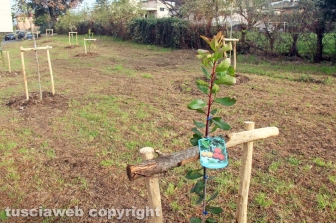 I boschi urbani di Viterbo