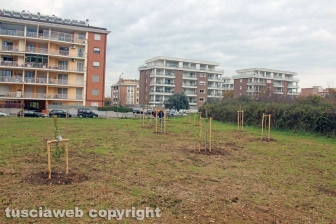 I boschi urbani di Viterbo